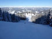 Schwarzer Grebenzenschuss