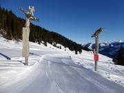 Tipp für die Kleinen  - KitzSki Bären Land