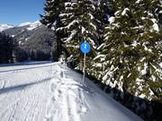 Pistenmarkierungen am Kristberg