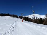 Übungslift Stockerboden - Schlepplift mit T-Bügel/Anker