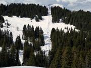 TK des Bosses - Tellerlift