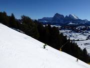 Schwarze Piste an der Kombibahn Puflatsch