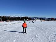 Leichte Piste am Übungslift (Seillift)