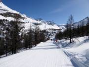 Piste Grünsee