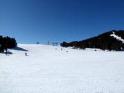 Leichte und breite Piste Plateau