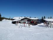 Gastronomie-Tipp Skihytta Trysil