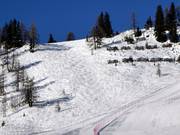 Freeride-Areal Kogelalm