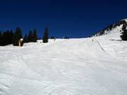 Neuhögen Abfahrt in Westendorf