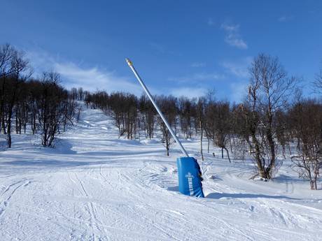 Schneesicherheit Jämtland – Schneesicherheit Tänndalen