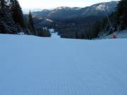 Präparierte Piste in Jasná