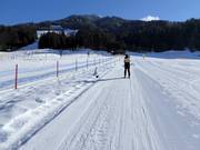 Sammer - Seillift/Babylift mit niederer Seilführung