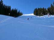Schwarze Piste 65