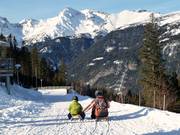 Tipp für die Kleinen  - Rodelbahn