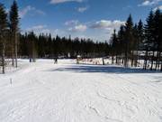 Anfängerpiste Nybegynnerbakken