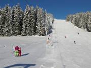 Rittisberglift - Schlepplift mit T-Bügel/Anker