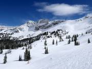 Pisten an der Sesselbahn Sugarloaf