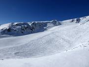 Tiefschneehänge zwischen den Pisten