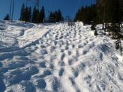 Buckelpiste an der Harbachbahn