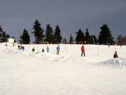 Wellenbahn am Almberg
