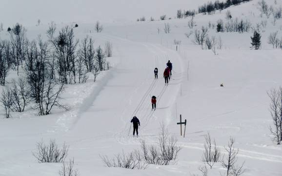 Langlauf Valdres – Langlauf Beitostølen