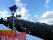 Schneekanone am Grouse Mountain