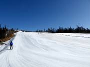 Leichte Piste Nedre Bøseter Nr. 29