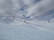 Schwere Piste Race Arena