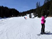 Leichte Abfahrt zur Mittelstation Bergläger