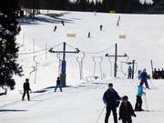 Camelback Platter - Tellerlift