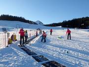 Tipp für die Kleinen  - Kinderwiese Postalm