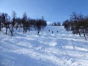 Schwere Piste Maggans Fall Nr. 16