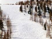 Waldschneise an der Gondelbahn Pelevos