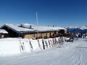 Panoramaalm Königsleiten