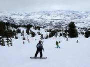 Piste beim Middle Bowl Express