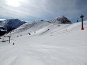 Blick zum Col Rodella