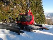 Eine von zehn Pistenraupen