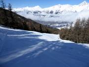 Schwere Piste Arb