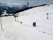 Trainer - Schlepplift mit T-Bügel/Anker