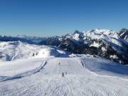 Muri Standardabfahrt