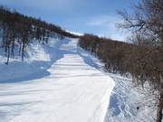 Piste Kamelpukkelen Nr. 7