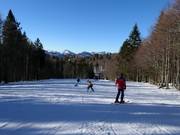 Leichter Jagerspitzhang