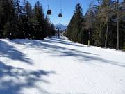 Leichte Abfahrt Falzeben I