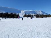 Leichte Piste Nr. 17