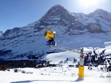 Schneesicherheit Jungfrau Region – Schneesicherheit Kleine Scheidegg/Männlichen – Grindelwald/Wengen