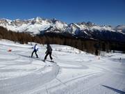 Leichte Piste Campo Scuola Le Buse (Falcade)