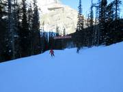Leichte Talabfahrt Banff Avenue