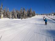 Sehr leichte Übungspiste am Village Platter