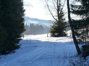 Langlauf nahe der Talstation