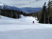 Piste am Schlepplift Seewald II