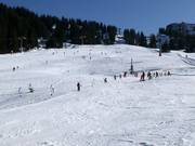 Easy Cheesy Übungslift an der Bergstation in Mellau